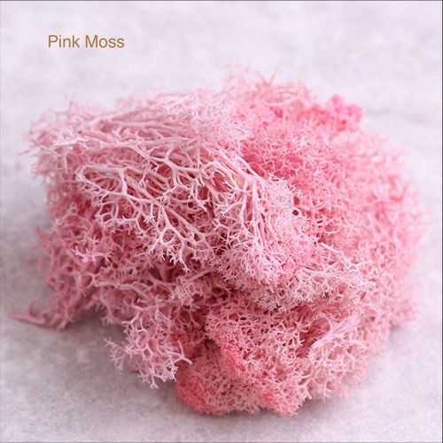 9 OZ Preserved Moss, Natural Live Moss, Fake Moss for Potted Plants, Spanish Moss for Terrariums Gardening Art, Vase Fillers, Craft Floral Wall, Wedding Decor (Green, Purple, Pink)