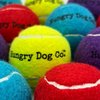 Hungry Dog Co. - 12 Pack of Premium Dog Tennis Balls 2.5" - Pet Safe Dog Toys for Exercise and Training. Bouncy and Durable for Hours of Fun - Reusable Mesh Bag for Carrying and Storage - Yellow