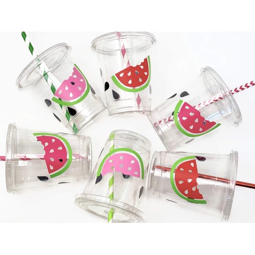 Watermelon Birthday Party Cups 12 oz Disposable Plastic Lids Straws (12 Count)