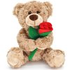 Bakalizoo 12'' Stuffed Teddy Bear Dolls with Rose, Soft Plush Animal Toys for Valentine's Day Her/Girlfriend Lover Mom Kids Gifts