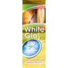 White Glo Smokers Formula Whitening Toothpaste with Bonus X Action Toothbrush, 5.2 Ounce