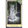 Lisa Hunt Ghosts & Spirits Tarot Cards