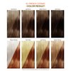 Adore Semi Permanent Hair Color - Vegan and Cruelty-Free Hair Dye - 4 Fl Oz - 052 French Cognac (Pack of 1)