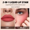 2PCS Lip Tint Lip Stain Set, Velvet Lip Gloss Water Lip Tint Stain Multipurpose Liquid Lipstick Lip Stain Long Lasting Waterproof, Non-Sticky, Lip & Cheek Tint Tinta Para Labios Lip makeup - Set C