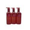 3 'Tis the Season Cleansing Gel Hand Soap Wash bath body set