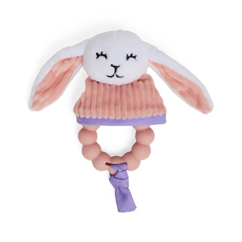 Leaps & Bounds Plush Bunny Chew Teething Ring Puppy Toy in Assorted Colors Small