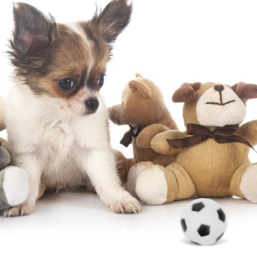 FRCOLOR 4Pcs Pet Toy Ball Rubber Foam Soccer Ball Cat Toy Dog Teething Toy Dogs Bite Toy Kitten Interactive Toy Pet Exercising Toy