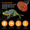 Simple Deluxe 25W/40W/50W/60W/100W/150W Ceramic Heat Emitter Reptile Heat Lamp Bulb No Light Emitting Brooder Coop Heater for Amphibian Pet & Incubating Chicken, Black/2-Pack, 50W