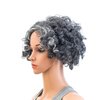 SWACC 12-Inch Old Lady Cosplay Granny Wig Short Grandmother Curly Wigs for Women with Wig Cap (Silver Gray)