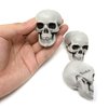Honbay 6PCS Mini Halloween Skulls Decoration Plastic Fake Skeleton Head Table Decor Prank Props for Halloween Craft Party Favors