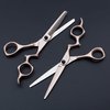 Hair Scissors/Shears Set 6'' – Dream Reach Barber Shears Set Hairdressing Cutting Shears and Thinning/Texturizing Scissors Kit - Razor Sharp Japanese Steel with Adjustment Tension Screw (Rose gold)