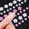 3D Flower Nail Charms, 2 Boxes 3D Acrylic Flower Nail Art Rhinestones White Pink Mixed Cherry Blossom Spring Gems Acrylic Nail Supplies with Pearls Manicure DIY Nail Decorations