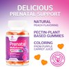 Prenatal Vitamins for Women with Folic Acid 1335mcg, Fetal Support Prenatal Multivitamin and Mineral Gummy, Vitamin A, C, D3, B12, B6 & Folate for Pregnant & Nursing Women - 120 Gummies, 60 Day Supply