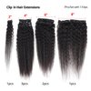 Kinky Straight Clip in Hair Extensions Real Human Hair Natural Black Double Weft Clip ins for Women 16 Inch 120g 8pcs Seamless Kinky Straight Clip on Extensions Human Hair (#1B, 12inch Kinky Straight)
