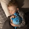 Mint Bucket Brands Chomphogs on Guard - Plush Protectors for Kids Scared of The Dark - Kids Finally Sleep Alone at Night - Storybook & Bedtime Buddies - Plush Animals and Book Set (1-9 Yrs.)