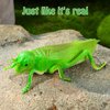 Toyvian 10 Pcs Green Grasshopper Toy Simulation Prank Toy for Kids Halloween Party Favors