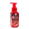 Generic Winter Candy Apple, Bath and Body, Gentle Foaming Hand Soap, 8.75 fl oz