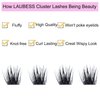 Cluster Lashes 72 Individual Lashes D Curl Lash Clusters Volume Eyelash Clusters DIY Lash Extension Kit Fluffy Cluster Eyelash Extensions (03-0.07D, 12mm)