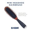 Kent KB Minihog Headhog Detangling Travel Hair Brush, Black Rubber Cushion Detangler Brush and Scalp Brush with Firm Rounded Plastic Bristles for Women Men and Kids Everyday Care, Made in England