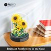 2 Flowers Bouquet Sunflowers - Rose Building Kit Not Compatible with Lego, Creative Bonsai Tree Succulents Plant Blocks with LED Light, Botanical Collection Home Office Decor Ideal Gift for Kid