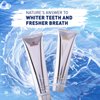 Elementa Silver TOOTHGEL Wintermint Flavor | Nano Silver 5 in 1 Teeth Whitening Gel 4 Fl oz | Dentist Formulated All Natural | Professional Whitening Toothgel | Kills Bacteria | Whitens Teeth