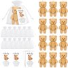 Zhanmai Set of 12 Mini Plush Smile Bears Gift Little Pocket Bear Inspirational Bear Hug Gift Card Organza Bags for Valentine's Day Class Baby Shower Birthday Graduation Party Favors