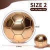 DLUGOPIS Golden Mini Soccer Ball Size 2 Toddler Soccer Ball Kids Soccer Ball Age 3-8 for Trophy Boys Girls Outdoor Grass Yard Toys Sport Gift