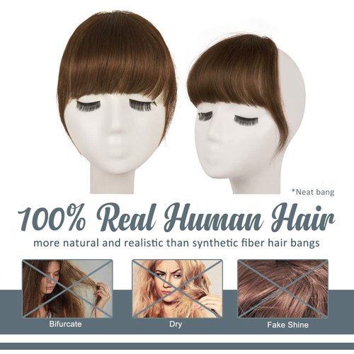 BARSDAR Real Human Hair Clip in Bangs - Thick Human Hair Bangs Clip in for Women - Brown Hair Bangs Extensions Clip in Real Human Hair Bangs Clip on Fringe Hairpieces Daily - Golden Chestnut Brown