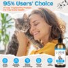Lysine for Cats Immune Support, L-Lysine Supplement for Cat, Lysines for Feline Respiratory Health - Reduces Sneezing, Sneezing, Runny Nose, Eye Function, Natural Cat Drops for Kittens & Adult Cats