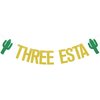 Three esta Banner,Mexican Fiesta 3rd Birthday Party Decorations, Child 3 Year Old Party Supplies Gold & Green