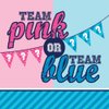 Creative Converting 18 Count Gender Reveal 2-Ply Luncheon Paper Napkins, Team Pink/Team Blue