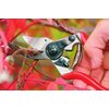 Felco Pruning Shears (F 6) - High Performance Swiss Made One-Hand Garden Pruners - 100052385
