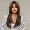 EMMOR Brown Wigs for Women,Long Layered Wigs with Curtain Bangs Heat Resistant Synthetic Fibre Wigs(Brown with Grey Highlight)