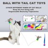 HylderS Interactive Cat Toys for Indoor Cats,4PCS Retractable Cat Feather Toy, 2PCS Silvervine Sticks Catnip Toys for Teeth Cleaning,2PCS Bouncy Ball Cat Toy w/Tail,Kitten Toys for Chasing Exercise