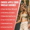 Apple Cider Vinegar Gummies, Max Strength 2000mg ACV Gummy with Probiotics, B12 and Keto Support, For Digestion, Metabolism, Detox, Gut & Immune Health, Gelatin-Free, Non-GMO, 180 keto acv gummies