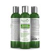 Rosemary & Lemongrass Anti-Hair Loss Shampoo - Promotes Hair Growth and Thickening for Women & Men, Suitable for Hair Growth