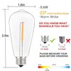 10 Pack LED Edison Light Bulbs, 0.6 Watt Shatterproof Dimmable Replacement Bulbs ST40 Clear Plastic Light Bulbs for Outdoor Patio String Lights, E17/C9 Intermediate Screw Base Bulb, Warm White