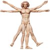 FREEing Table Museum The Vitruvian Man Figma Action Figure