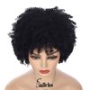 Sallcks Short Black Kinky Afro Wig for Black Women Short Curly Afro Wigs Natural Synthetic Curly Cosplay Costume Wigs with Wig Cap