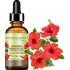Botanical Beauty HIBISCUS OIL (Hibiscus Sabdariffa) JAPANESE 100 Pure Natural VIRGIN UNREFINED COLD PRESSED Anti Aging, Vitamin E oil for FACE, SKIN, HAIR GROWTH 0.5 Fl.oz.- 15 ml