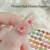 100Pcs Flower Nail Charms Flatback Resin Charms Design 3D Flowers Nail Gems and Charms Supply Acrylic Spring Blossom Tiny Flowers Nail Art Charms for Women DIY Manicure Nail Jewel Decor Accessories