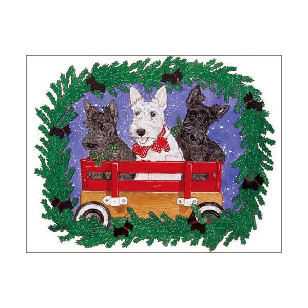 Pipsqueak Scottish Terrier Christmas Cards : 10 Holiday Cards with Red Envelopes - ADORABLE!