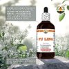 Fu Ling (Poria Cocos) Dry Sclerotia Tincture, Made in Hawaii, All Natural, Vegan, Pure Liquid Extract - 4 fl.oz