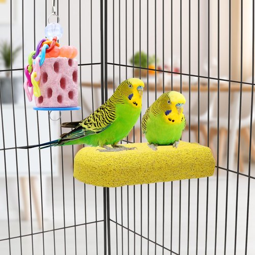 Wontee Bird Calcium Grinding Chewing Toys Bird Perch Stand for Cockatiels Conures Quaker Senegal Parrot, 2 Packs