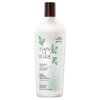 Bain de Terre Green Meadow Balancing Shampoo, Gentle Cleansing for Soft, Silky Hair with Argan & Monoi Oils, Paraben-free, Color-Safe, 13.5 Fl Oz