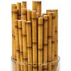 Fun Express BAMBOO PAPER STRAWS (24PC) - Party Supplies - VBS Vacation Bible School Supplies/Decor - 24 Pieces