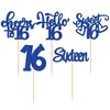 30Pcs 16th Birthday Cupcake Toppers Sixteen Happy 16th Cupcake Picks Cheers to 16 Sweet 16 Cake Decorations for 16th Birthday Anniversary Party Supplies Deep Blue Glitter