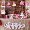 12PCS Cowgirl Party Decorations Western Cowgirl Honeycomb Centerpieces for Tables Lets Go Girls Party Decor for Birthday Baby Shower Supplies
