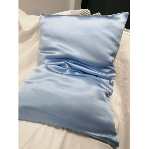 Cozysilk Natural Mulberry Silk Toddler Pillowcase for Hair and Skin, Both Side 19 Momme Silk, 1 Pack Travel Pillow Case, 13 x 18 Inches (Blue)