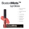Boston Mints Vineyard Bluff Lip Gloss (.25oz) -Vegan, gluten-free, cruelty-free formula with Aloe, Vitamins C & E, and a refreshing hint of spearmint extract for soft and hydrated lips.